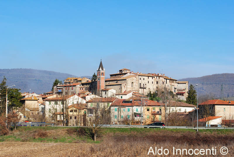 AMBRA: PANORAMA 1' IMMAGINE